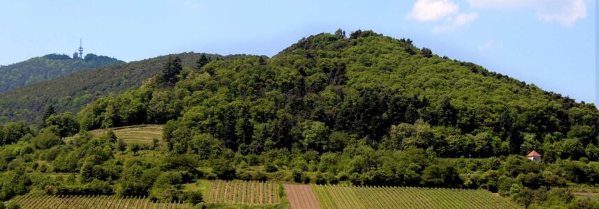 Blick auf Hambacher Schloß