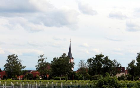 Maikammer