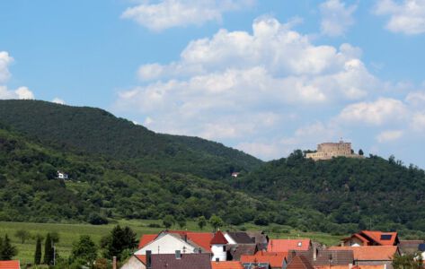 Blick Maikammer Berge